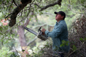 Gardeners call electric lawn equipment subsidy inadequate Gardeners call electric lawn equipment subsidy inadequate
