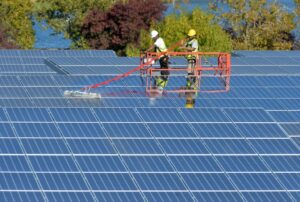Use solar power, kill a tortoise? Climate change solution carries environmental costs – Santa Cruz Sentinel Use solar power, kill a tortoise? Climate change solution carries environmental costs – Santa Cruz Sentinel