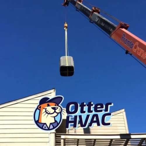 AF1QipMTwonJQ67kzqEr9AUYSm848qne-IE_0kFoN8Cb=s680-w680-h510-rw