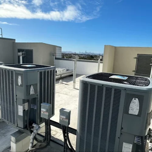 AF1QipNPugl7Zvm_naeg2PbK1WJ2HzzrFikvrl61tQcN=s680-w680-h510-rw