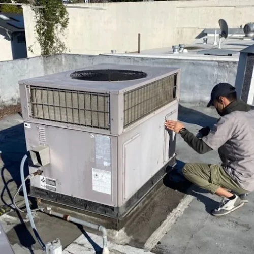 AF1QipPeiUYxHeqkkASXyNsuCL8ul_d_BhcF52n-impf=s680-w680-h510-rw